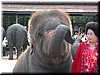 DSCN5537.JPG