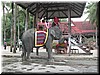 DSCN5547.JPG
