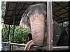 DSCN5551.JPG