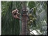 DSCN5555.JPG
