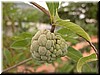 DSCN5610.JPG