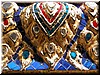 DSCN5694.JPG