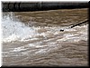 DSCN5833.JPG