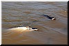 DSCN5840.JPG