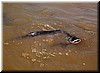 DSCN5843.JPG