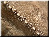 DSCN5891.JPG