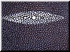 DSCN5895.JPG