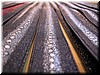 DSCN5897.JPG