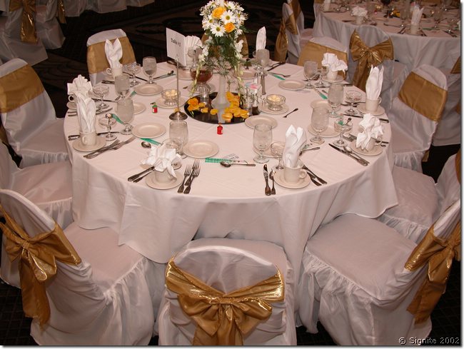 DSCN8755.JPG