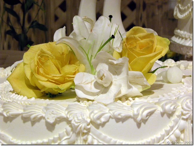 DSCN8811.JPG