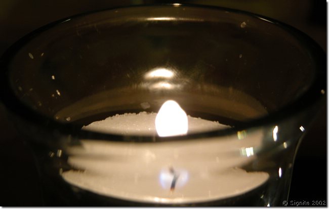 DSCN8824.JPG