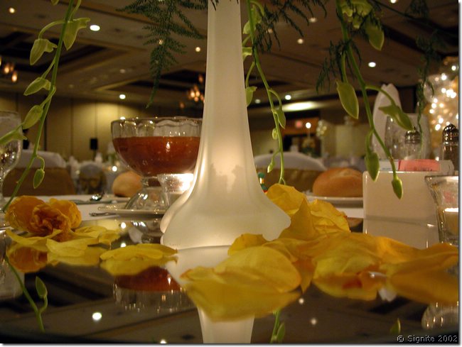 DSCN8828.JPG