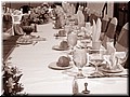 DSCN8785.JPG
