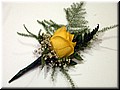 DSCN9056.JPG