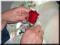 DSCN3503.JPG