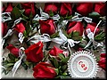 DSCN3489.JPG