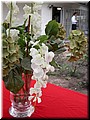DSCN3501.JPG